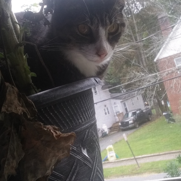 Meet your Posher, Theda. I *need* to sell here!! 😍❤️ - Picture 11 of 16